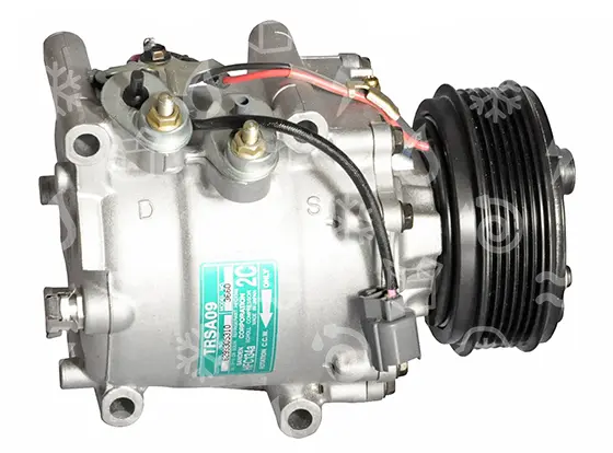 kompresor SANDEN TRS A09, řemenice 110 mm - PV6, 12V, OEM 38810